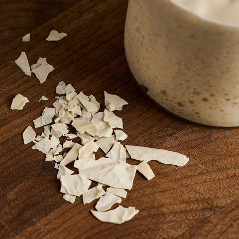 Dry sourdough starter next to a jar of fresh starter