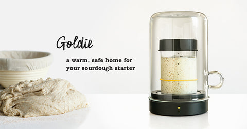 Golide by Sourhouse: a warm, safe home for your sourdough starter