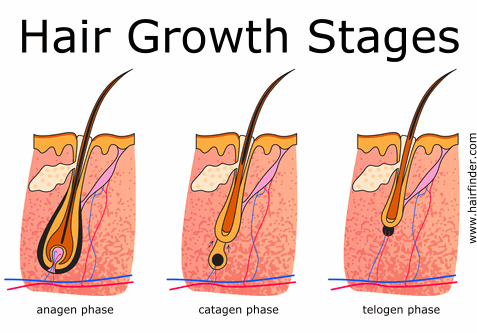 Simple Way to Grow Your hair & trichotillomania