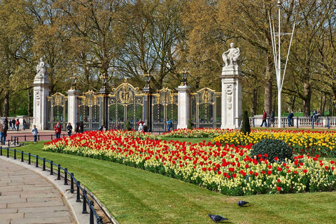 Green Park | Royal Parks London | Prestat Chocolates | What To Do In London For Mother's Day