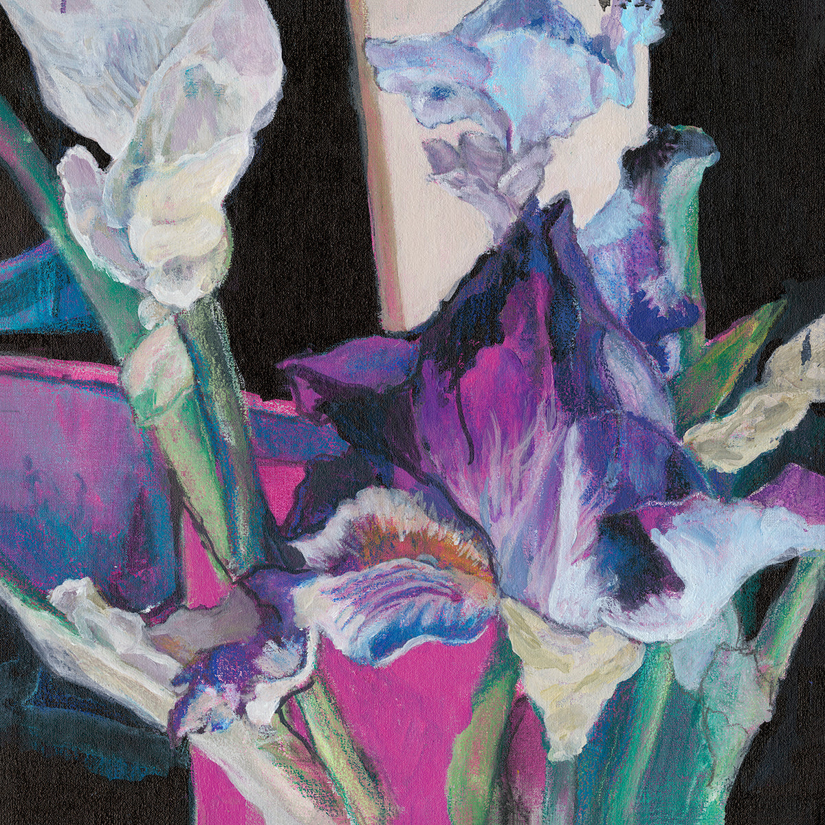 Iris 1