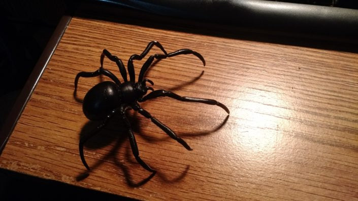 Black widow spider sculpture model made with InstaMorph moldable plastic.