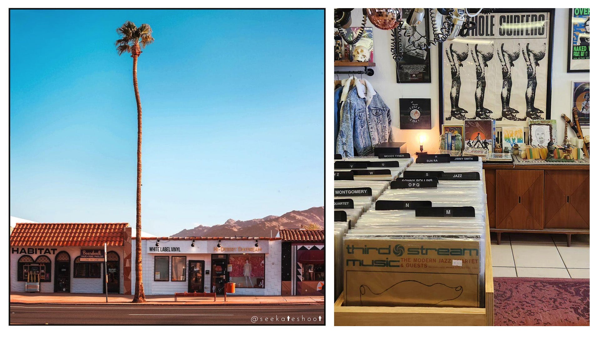 white label vinyl record store in twentynine palms, california