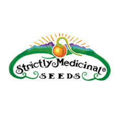 Verse Herbal Medicine School- alchemist-strictly-medicinal