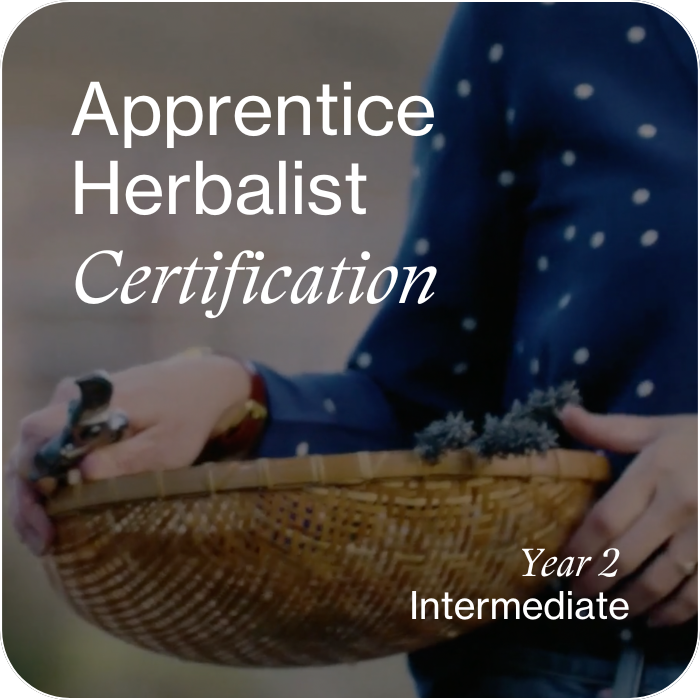 Apprentice Herbalist Certification - Verse