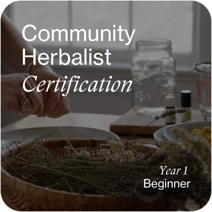 Apprentice Herbalist Certification - Verse