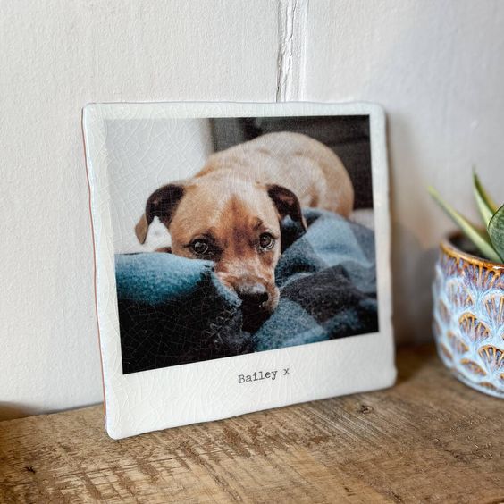 Dog memorial Photo Frame