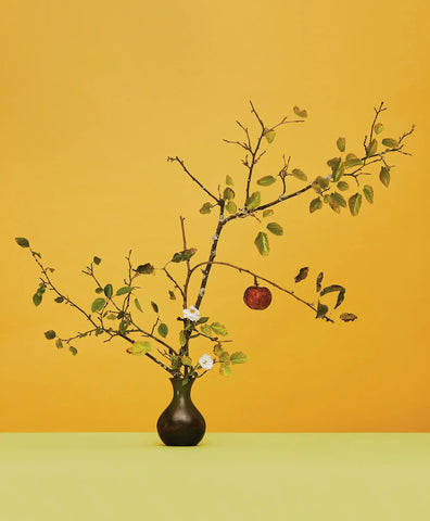 Ikebana arrangement by Emily Thompson.