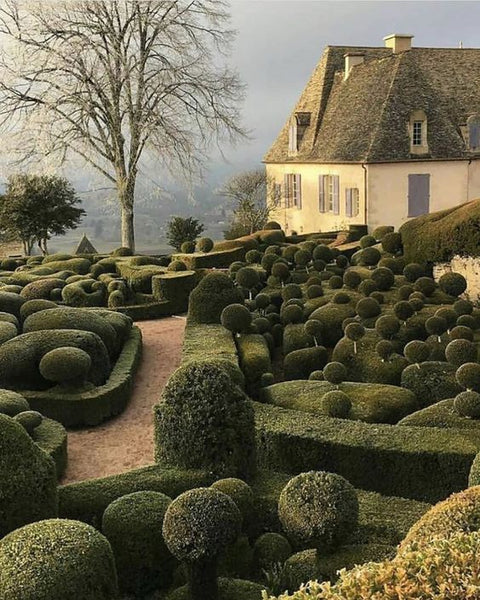 Jardins de Marqueyssac at The Château de Marqueyssac, 17th-century château and gardens located at Vézac, France.
