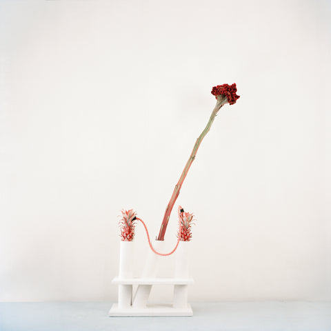 Camille Henrot, Fragments d’un discours amoureux, Roland Barthes, 2012. Flowers: Amarante Creìte de coq (celosia argentea)