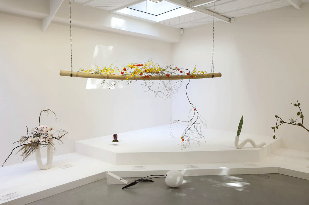 Camille Henrot “Is it possible to be a revolutionary and like flowers?”, Galerie Kamel Mennour (6 september – 6 October 2012).