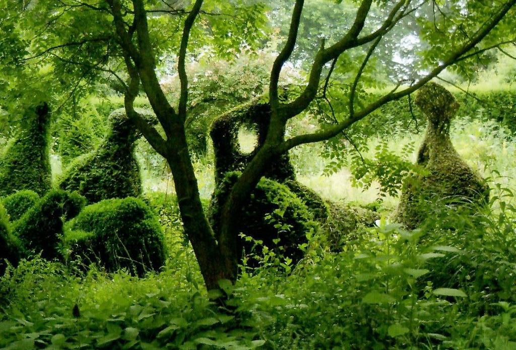 The Priona Gardens, the garden of Henk Gerritsen - from Planting the Natural Garden by Piet Oudolf & Henk Gerritsen, 2019.