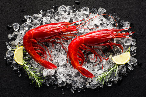 Carabineros Shrimp กุ้งคาราบิเนรอส