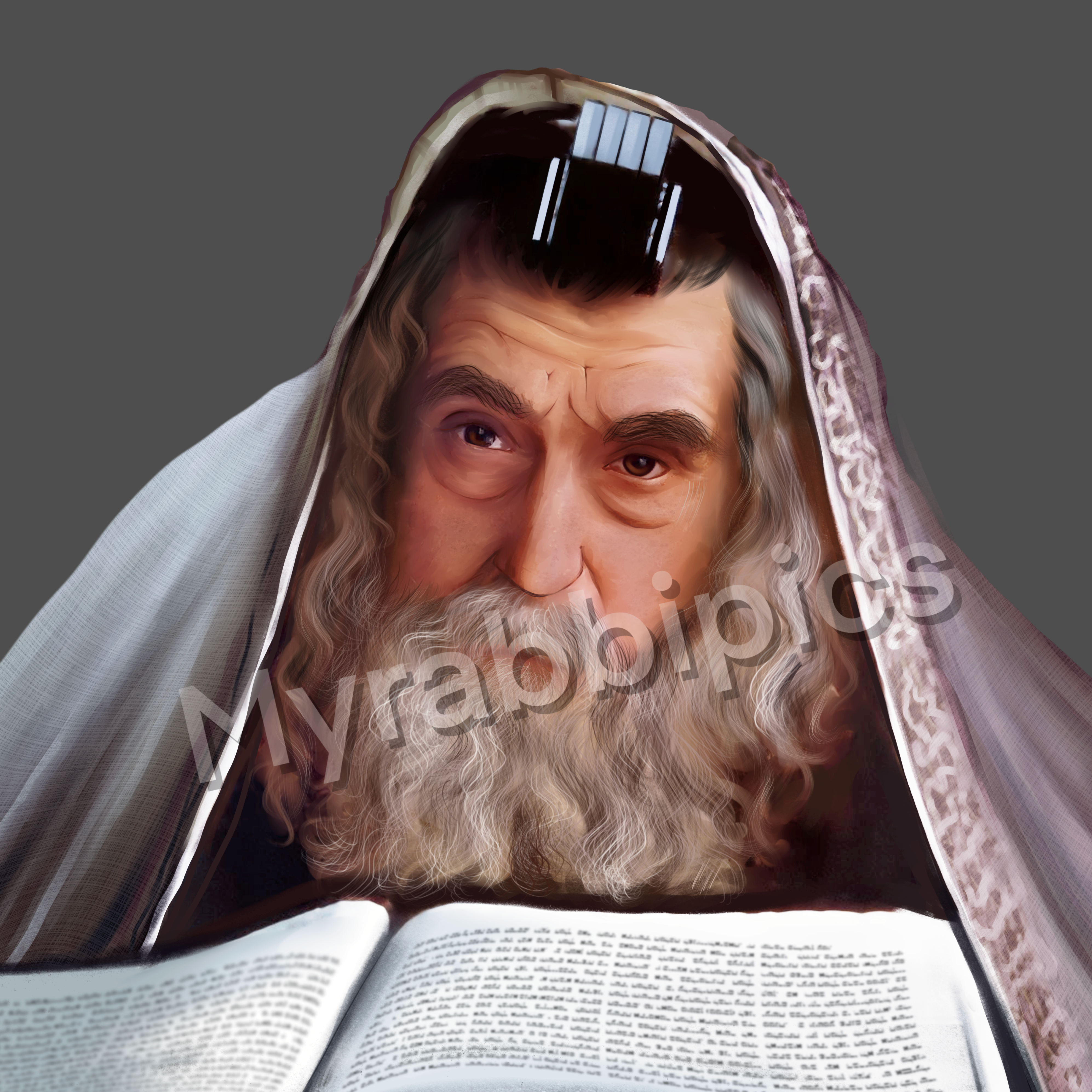 The Ribnitzer Rebbe - myrabbipics product image