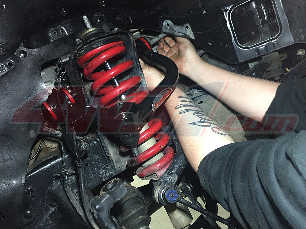 strut assembly