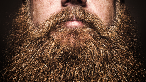 A man's face with a big lumberjack beard.