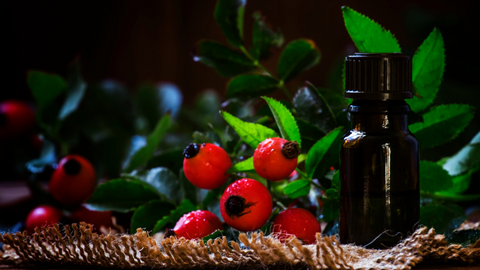 Rosehip oil and seeds.