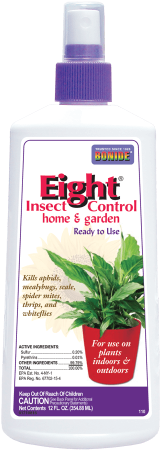 Banish Common Houseplant Pests With This One Neem Spray Recipe – Outside In