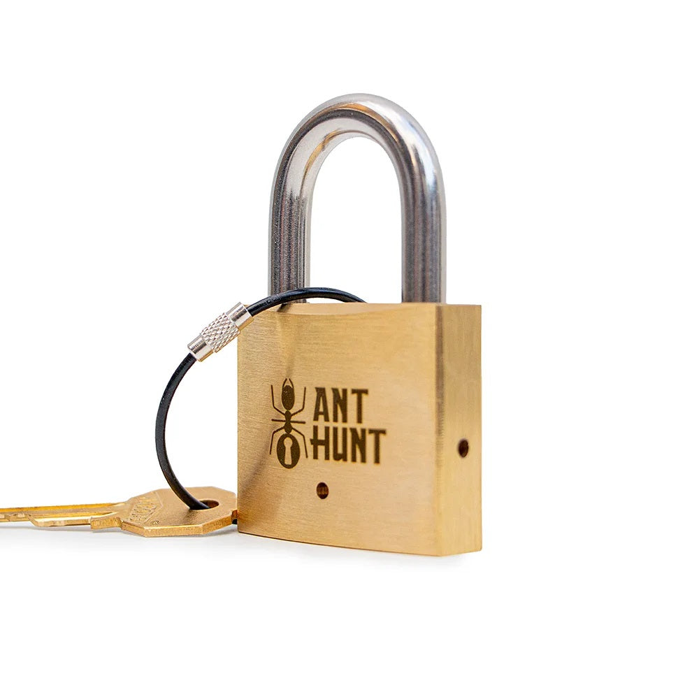 Ant Hunt Lock