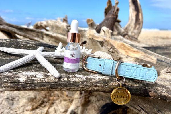 Halo Inner Peace Essential Oil Blend