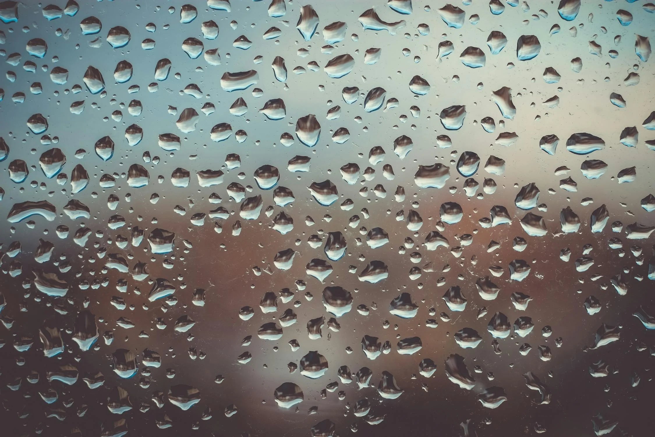 Window Cleaning Estimate
