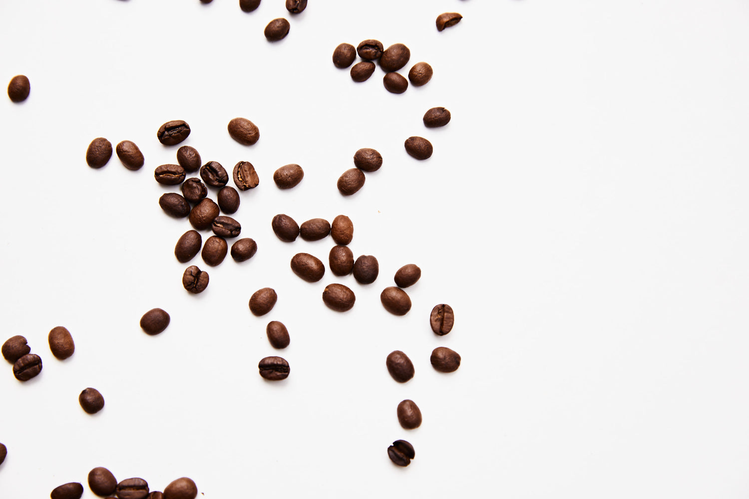 the-definitive-guide-to-coffee-blends-everything-you-ve-ever-wanted-t