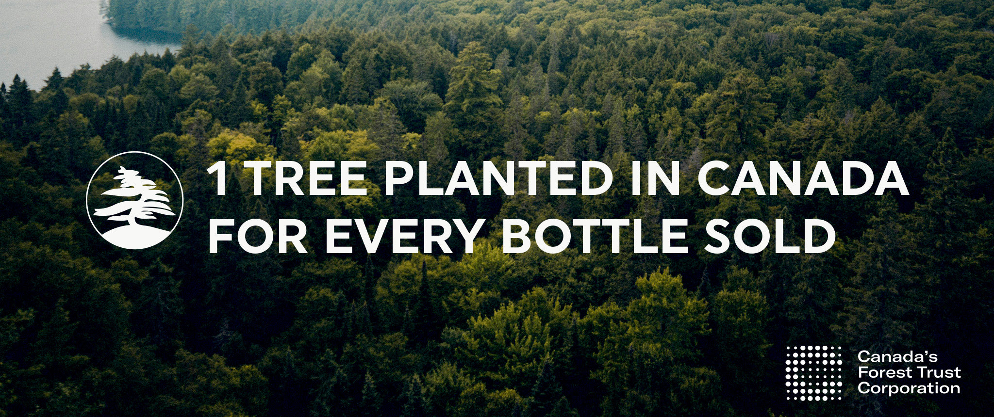 One tree planted for every bottle sold