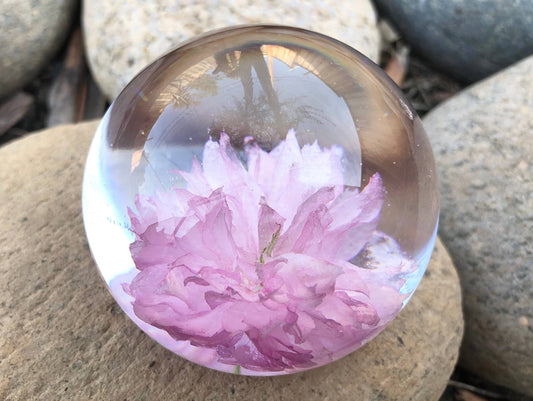 Real Four Leaf Clover Cube, Gift for Luck, St. Patrick's Day gift,  graduation gift, Lucky Clover Objet, Resin Paperweight, Shamrock, Luck  Charm – JW Botanique