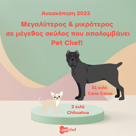 sizes_petchef