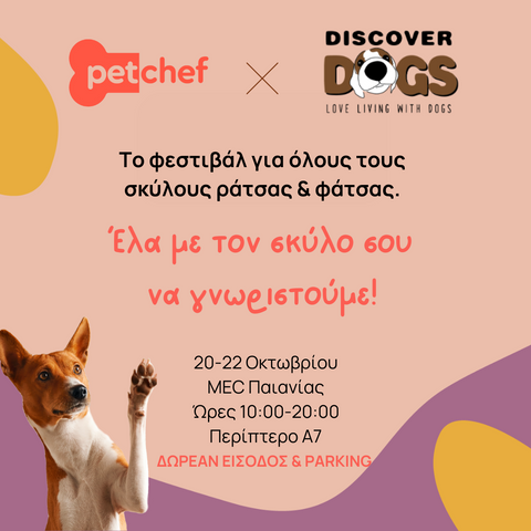 petchef-discover-dogs-2023