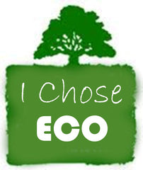 eco friendly choice