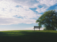 an outdoor bench under a tree in an empty field with a cloudy blue sky
