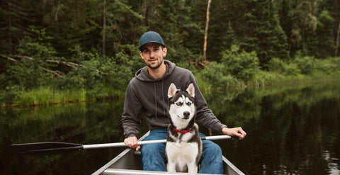 train your dog to accommodate the different activities that you'll be doing while camping