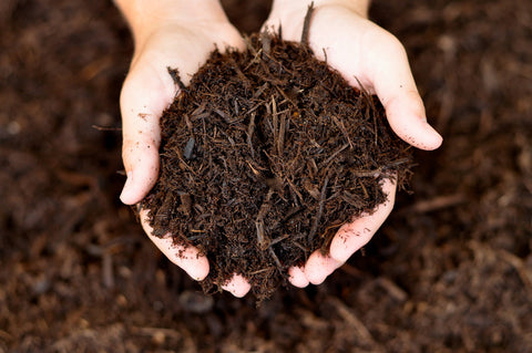mulch can help keep weeds away as well as helping the plants to receive nutrients and hold in moisture 