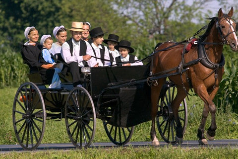 Amish community work together to form a bond that will help them get through natural disasters