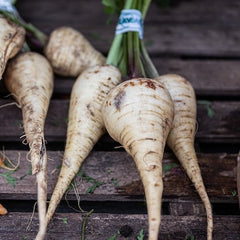 parsnips are an excellent vegetable to plant in the fall for winter harvest to provide fresh food for your family