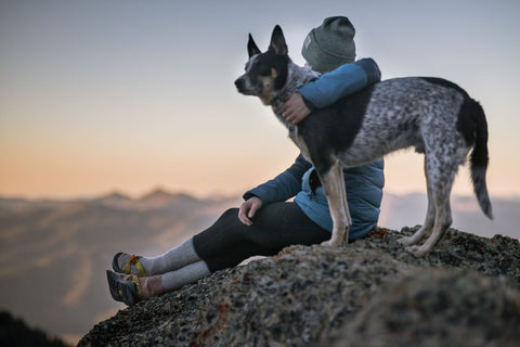 take your dog camping with coach trina at dragoyle.com