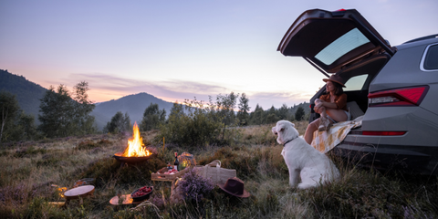 be sure to bring everything your dog needs when going camping by coach Trina at dragoyle.com