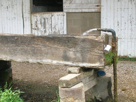 Running water is important to have during an emergency situation. The Amish know how to find water, dig wells and procure water for themselves. 