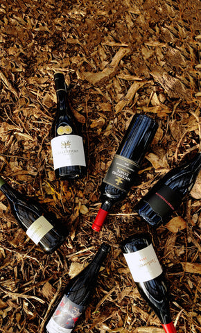 Stellenzicht Stellenbosch Wines Winelands Single Varietal Range Cabernet Savignon Cinsault Syrah Red Award Winning Online South Africa