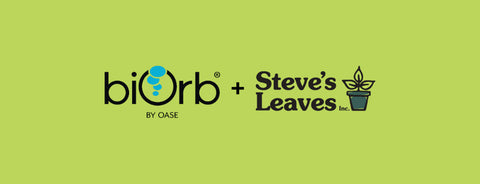 biOrb + Steve Leave's collaboration