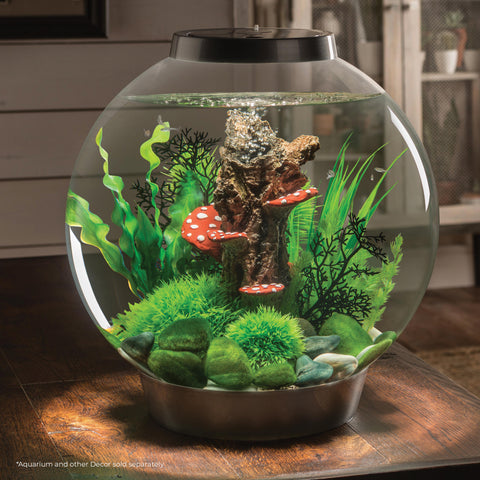 OASE biOrb 86386 Décoration pour aquarium biOrb Decor Set Rock valley -  Conrad Electronic France