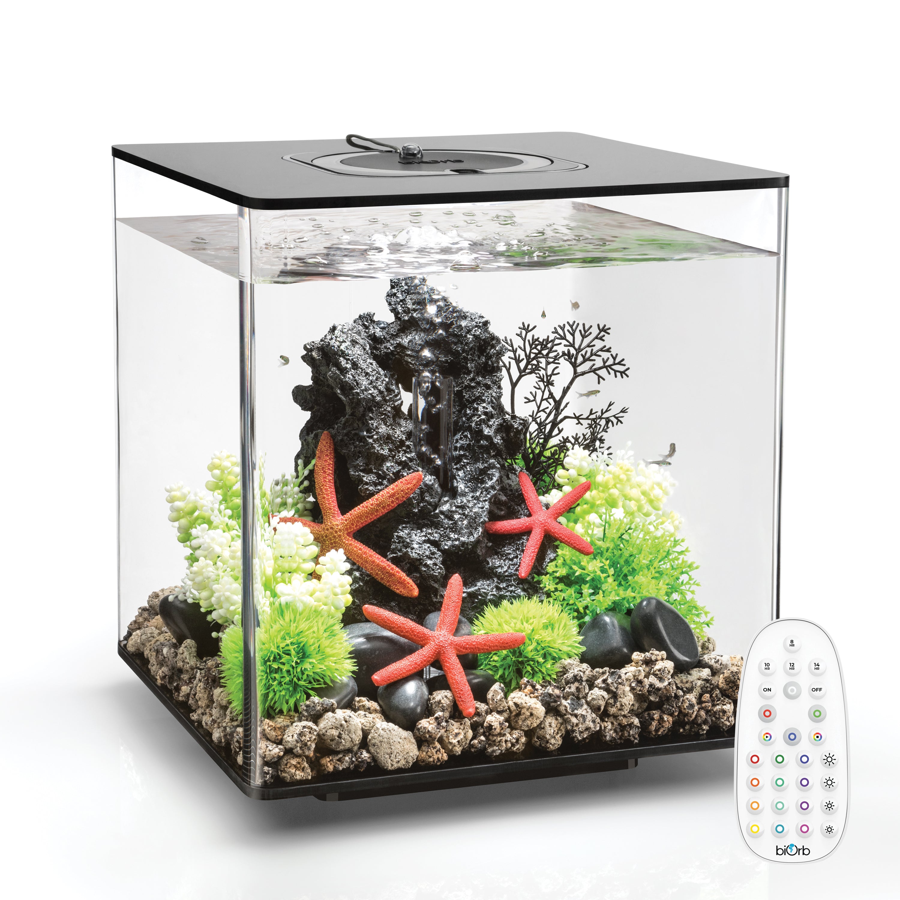 Wat dan ook lont Kapper CUBE 30 Aquarium with MCR Light - 8 gallon – biOrb