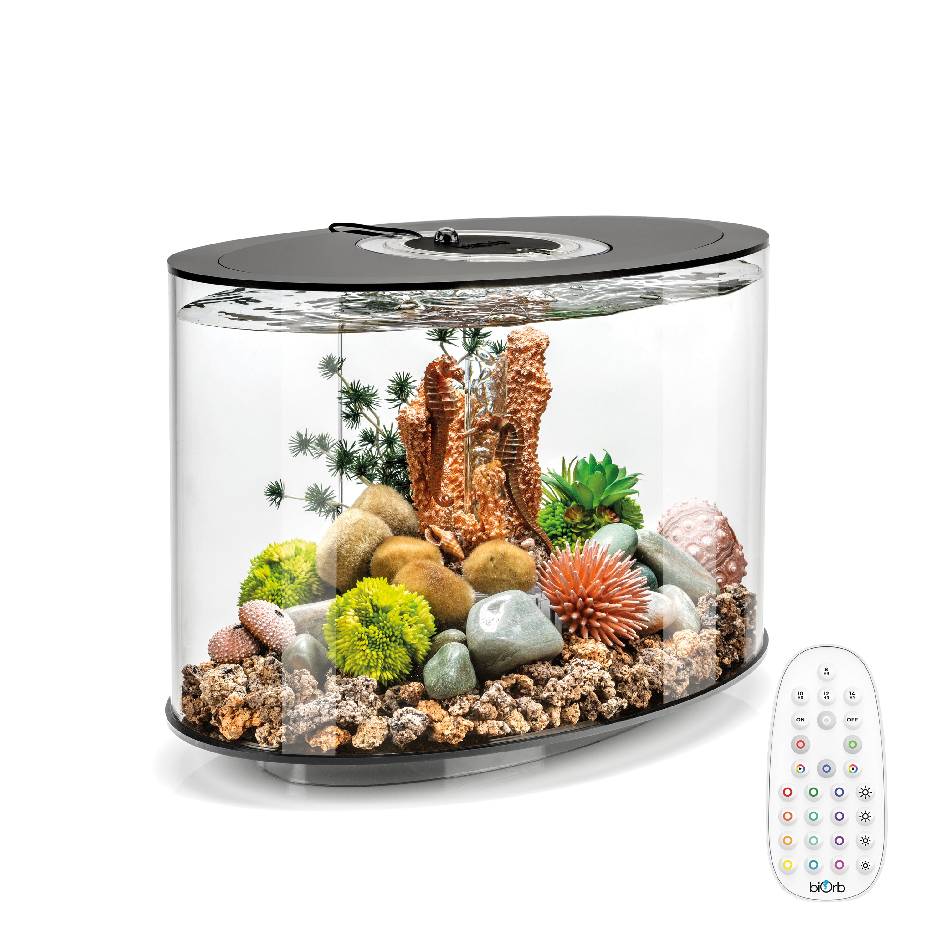 item ondernemer heb vertrouwen LOOP 15 Aquarium with MCR Light - 4 gallon – biOrb
