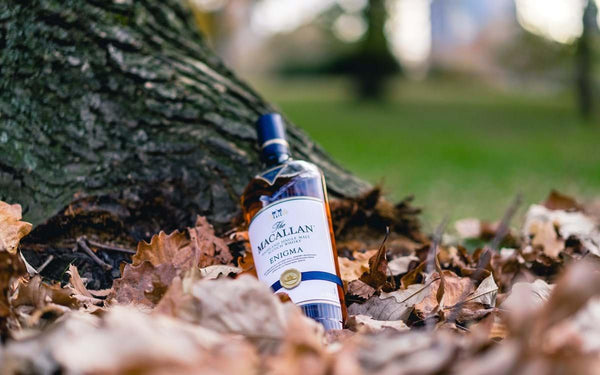 Macallan Enigma