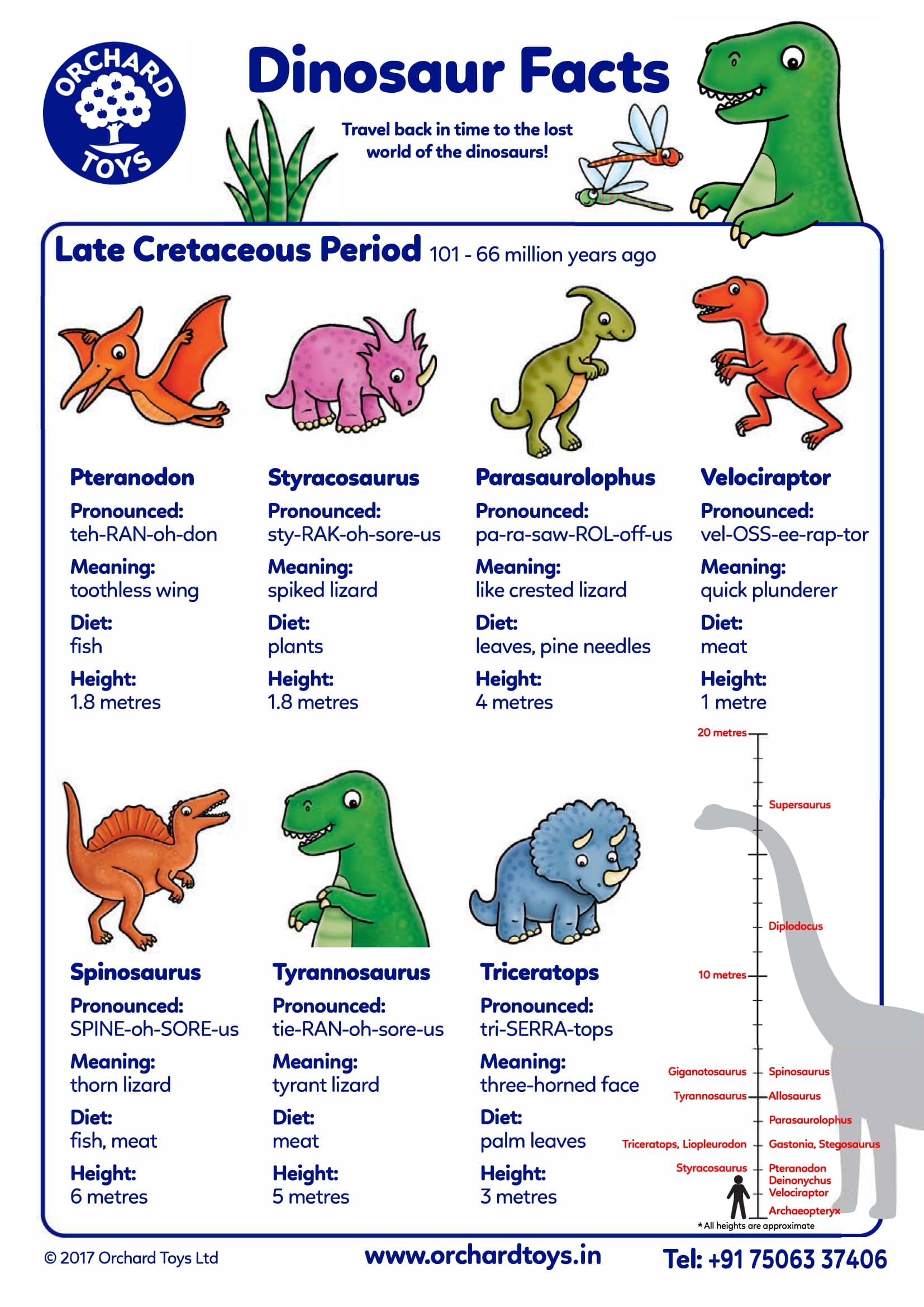 Dinosaur Facts Sheet 3