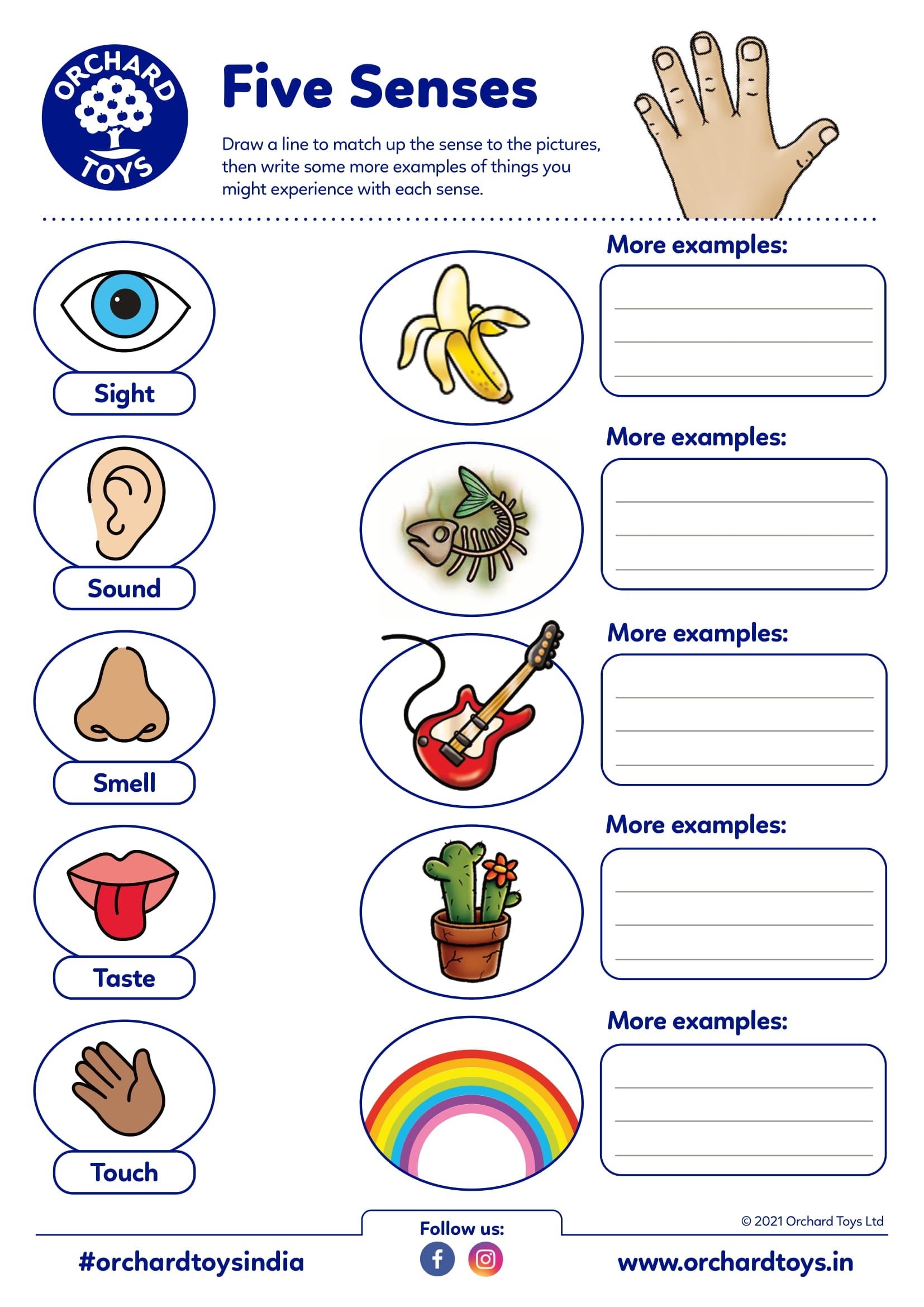 Five Senses Activity Sheet