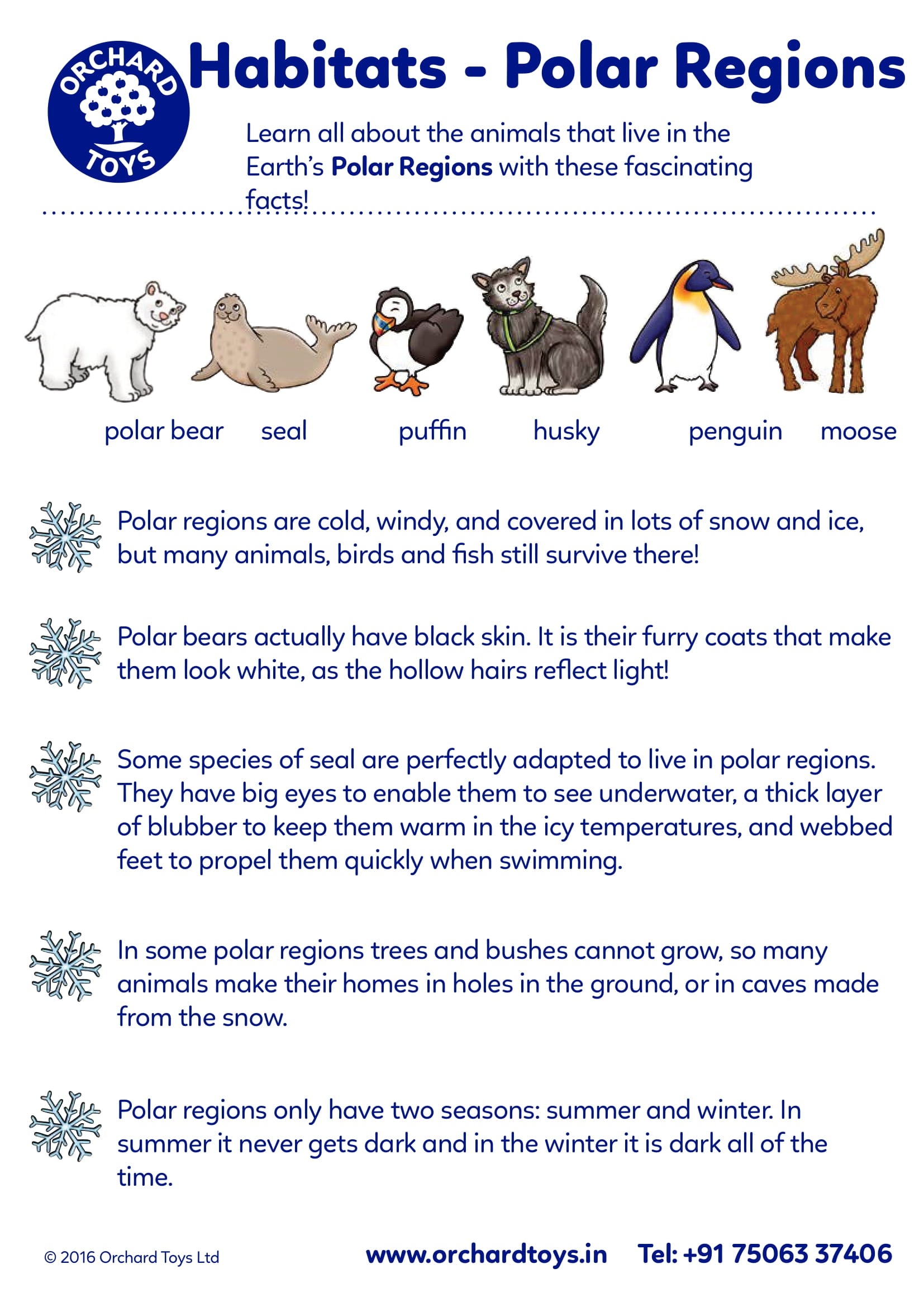 Habitat Facts - Polar Region
