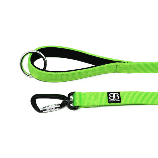 hi vis dog lead