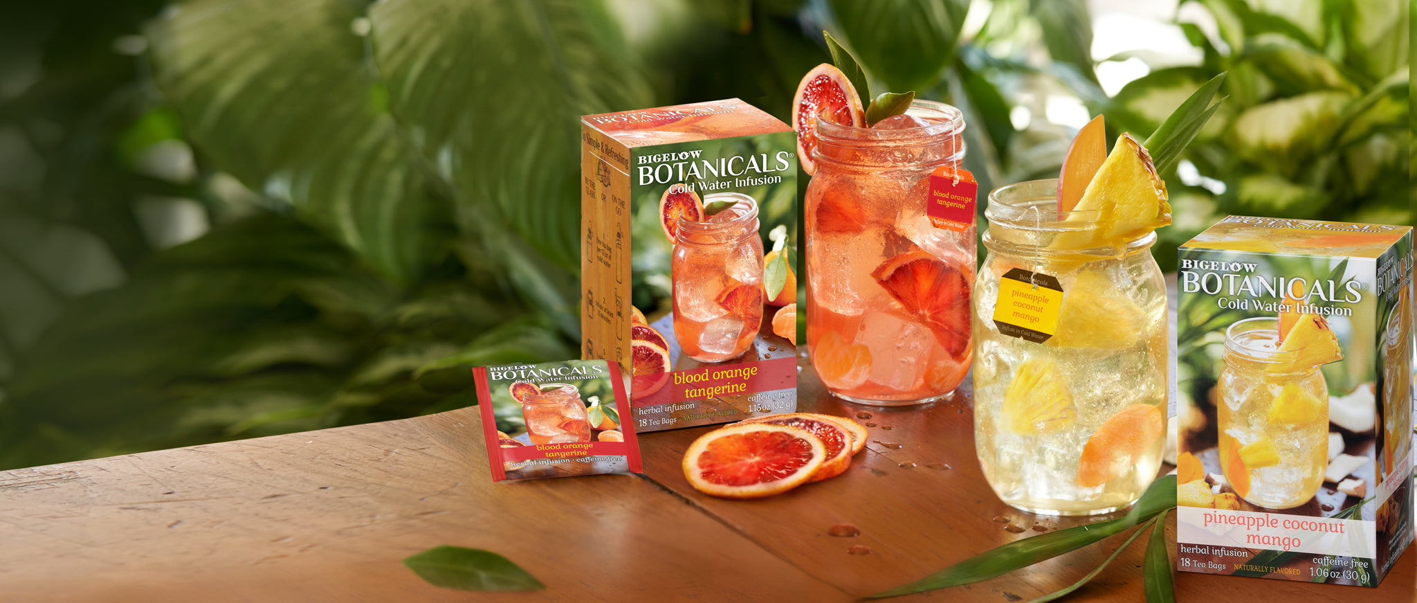 Bigelow Tea Introduces Two Botanical Cold Water Infusions Blood Orange Tangerine & Pineapple Coconut Mango 